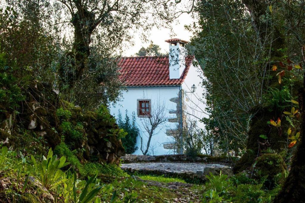הוילה פומבל Casa Do Vale Do Papo מראה חיצוני תמונה